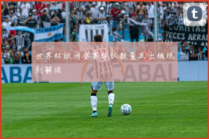 世界杯欧洲参赛球队数量及出线规则解读