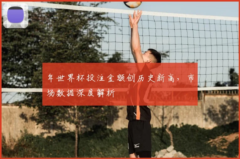 年世界杯投注金额创历史新高,市场数据深度解析