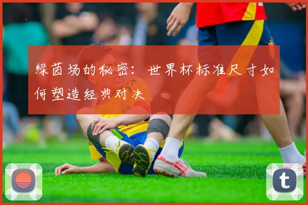 绿茵场的秘密:世界杯标准尺寸如何塑造经典对决