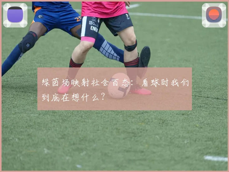 绿茵场映射社会百态:看球时我们到底在想什么?