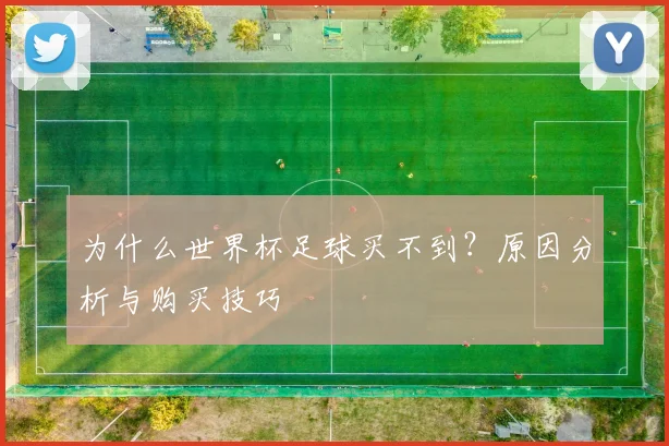 为什么世界杯足球买不到?原因分析与购买技巧