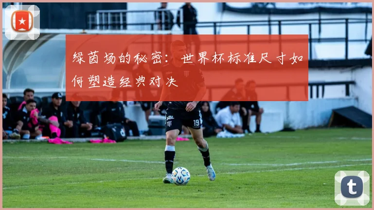 绿茵场的秘密:世界杯标准尺寸如何塑造经典对决