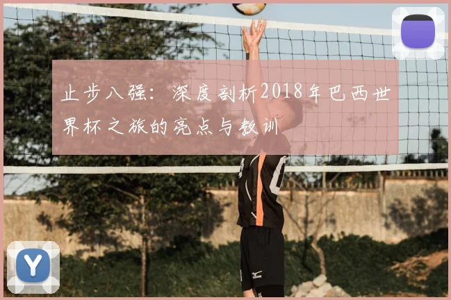 止步八强：深度剖析2018年巴西世界杯之旅的亮点与教训