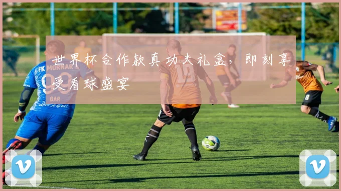 世界杯合作款真功夫礼盒，即刻享受看球盛宴