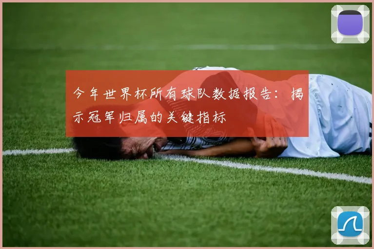 今年世界杯所有球队数据报告：揭示冠军归属的关键指标
