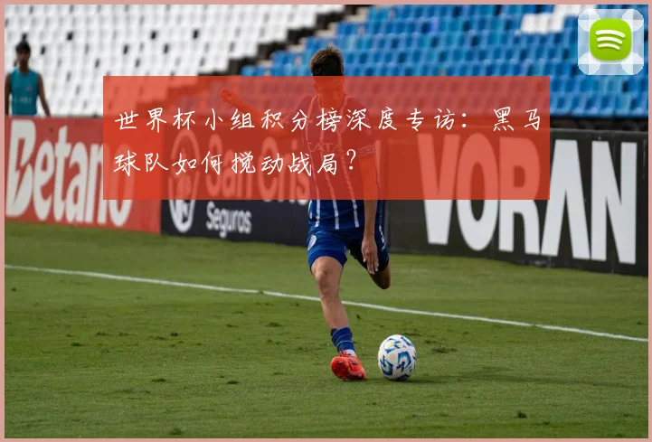 世界杯小组积分榜深度专访：黑马球队如何搅动战局？