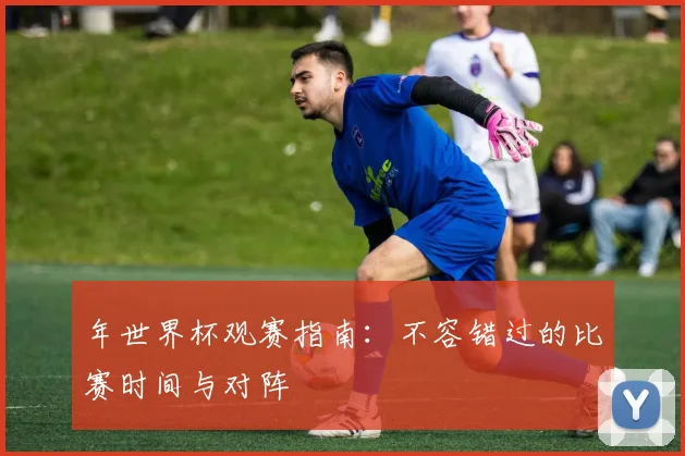 年世界杯观赛指南：不容错过的比赛时间与对阵