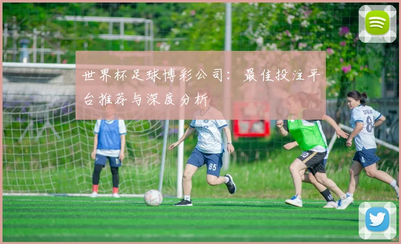 世界杯足球博彩公司：最佳投注平台推荐与深度分析
