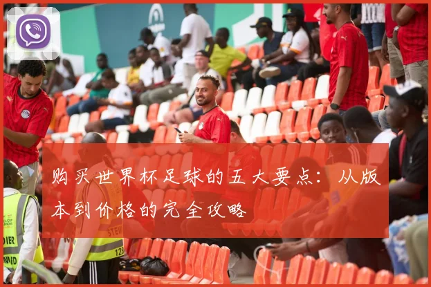 购买世界杯足球的五大要点：从版本到价格的完全攻略