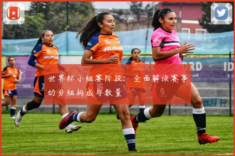 世界杯小组赛阶段：全面解读赛事的分组构成与数量